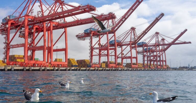 اقتصاد الشرق مع Bloomberg