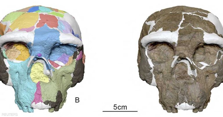 جمجمة عمرها مليون سنة تكشف أسرارا جديدة عن الإنسان جمجمة عمرها مليون سنة تكشف أسرارا جديدة عن الإنسان
