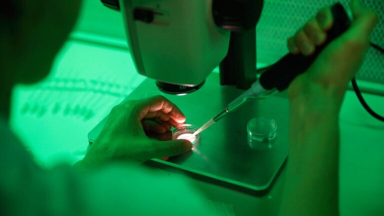 حاصرات بيتا لمعالجة ضغط الدم.. أضرارها أكبر من فوائدها لدى مرضى القلب حاصرات بيتا لمعالجة ضغط الدم.. أضرارها أكبر من فوائدها لدى مرضى القلب