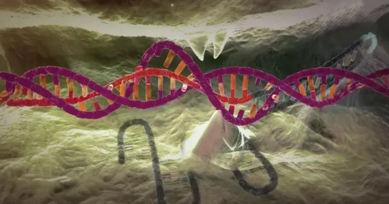 دراسة: جين نادر يساهم في تطور مرض ألزهايمر