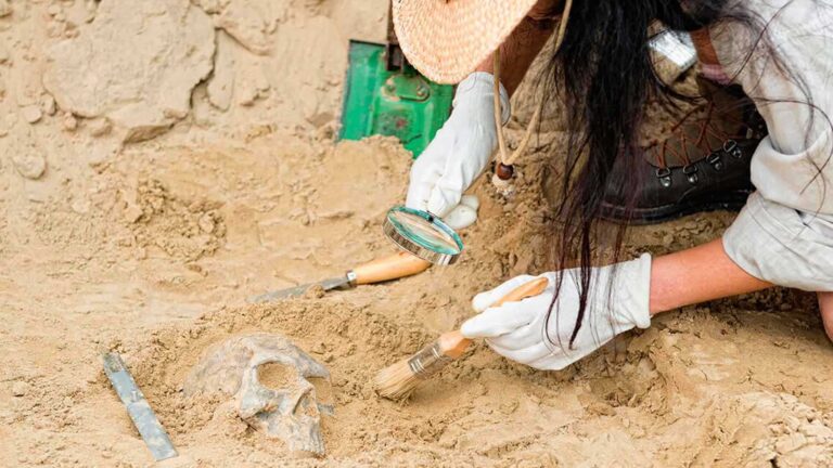 عمرها 12 ألف عام.. رفات بشرية تكشف عن طريقة تحنيط “مُعقدة” (صورة) هيلين ميرين: جيمس بوند يجب أن يبقى رجلًا