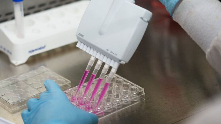 فك شيفرة السرطان.. خوارزمية جديدة تتعقب أصل وتطور الأورام بدقة غير مسبوقة فك شيفرة السرطان.. خوارزمية جديدة تتعقب أصل وتطور الأورام بدقة غير مسبوقة