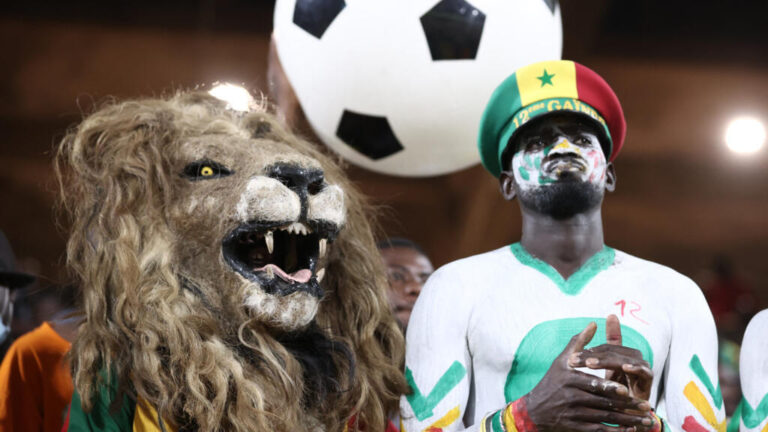 كأس أمم أفريقيا 2025: أسود وفهود ونسور.. تعرفوا على ألقاب المنتخبات المشاركة