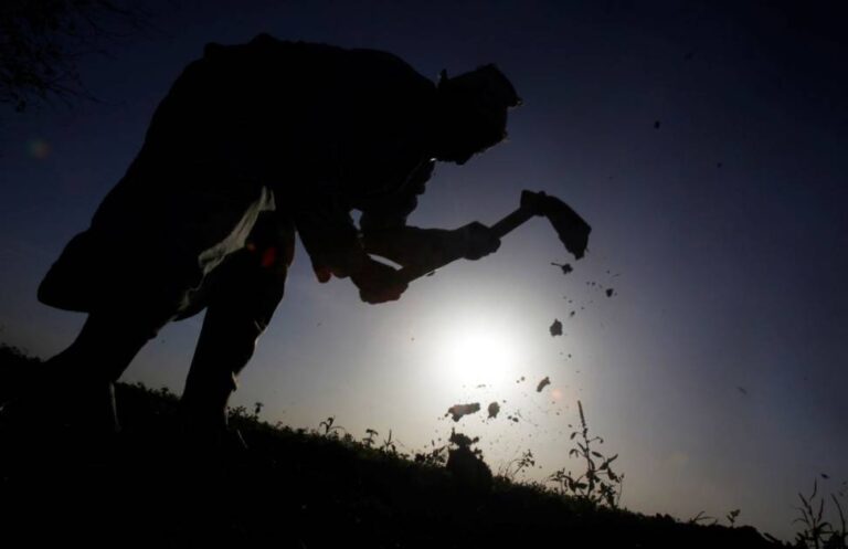 كيف أصبحت مهنة الزراعة “سبة” قاسية في مصر؟ كيف أصبحت مهنة الزراعة "سبة" قاسية في مصر؟