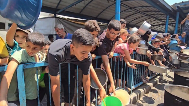 لماذا يفشل القانون الدولي في وقف إبادة وتجويع غزة؟ | سياسة