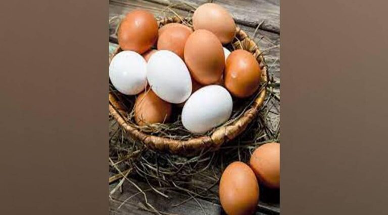 البيض البني أم الأبيض.. أيهما أفضل لصحتك؟ البيض البني أم الأبيض.. أيهما أفضل لصحتك؟