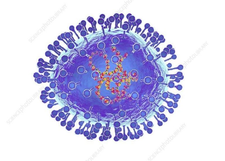 «الصحة العالمية» تكشف تفاصيل فيروس الميتانيمو المنتشر في المدارس