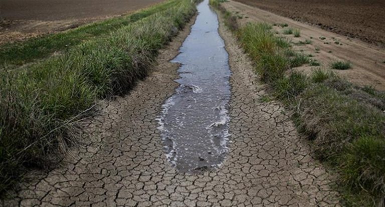 العراق أمام موسم شتوي صعب.. تحذير نيابي من تهديد شح المياه للمحاصيل » وكالة بغداد اليوم الاخبارية العراق أمام موسم شتوي صعب.. تحذير نيابي من تهديد شح المياه للمحاصيل » وكالة بغداد اليوم الاخبارية