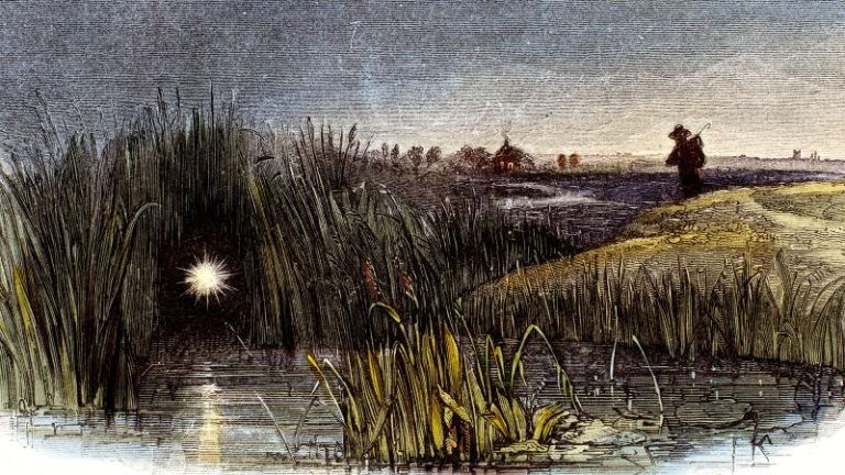 تجد أن “microlightning” تثير الإرادة المتوهجة. تجد أن "microlightning" تثير الإرادة المتوهجة.