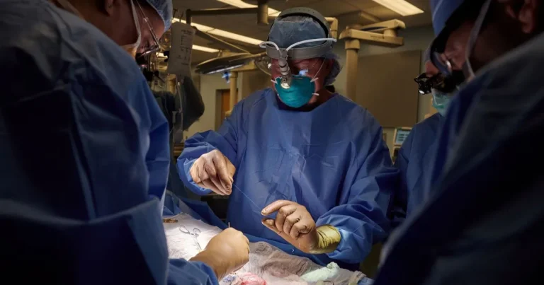 تجربة واعدة بزرع الأعضاء علماء ينجحون في تغيير فصيلة دم كلى