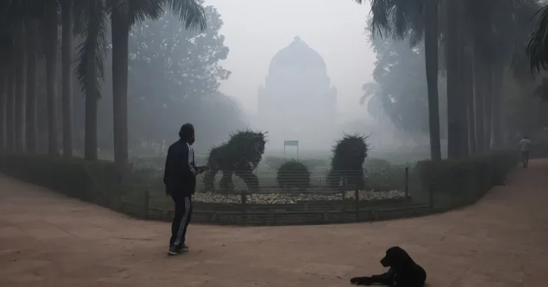 جودة الهواء في نيودلهي عند مستويات “خطرة” جودة الهواء في نيودلهي عند مستويات "خطرة"