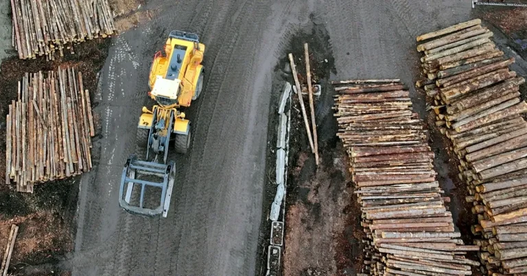 رسوم ترمب على الأخشاب تدخل حيّز التنفيذ وتهدد بإرباك الأسواق رسوم ترمب على الأخشاب تدخل حيّز التنفيذ وتهدد بإرباك الأسواق