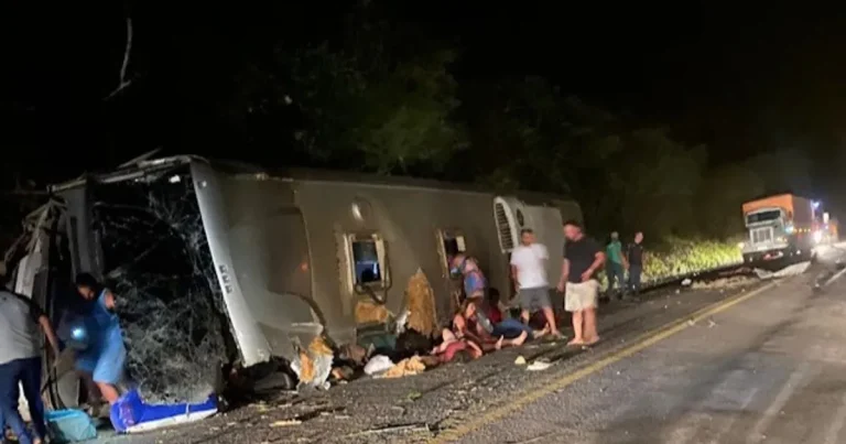 ضحايا في حادث اصطدام حافلة بشمال شرق البرازيل ضحايا في حادث اصطدام حافلة بشمال شرق البرازيل