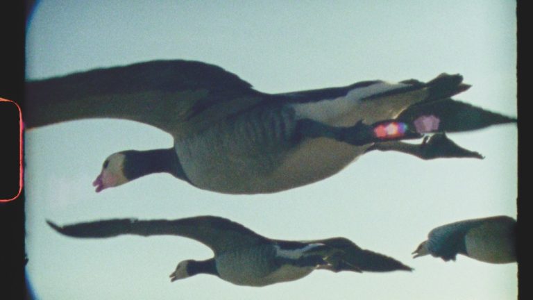 فيلم Ed Sayers LFF على Super 8، رسالة حب عالمية 'Super Nature'