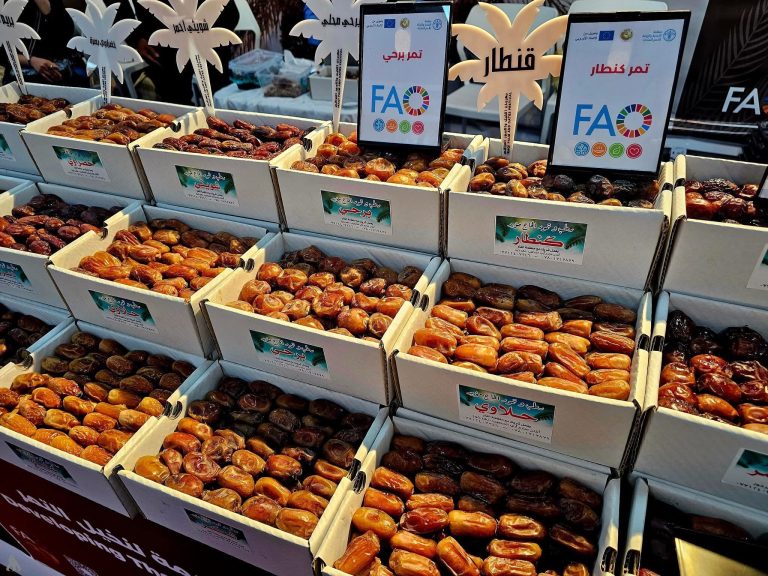 مهرجان التمور العراقية.. منصة وطنية لتعزيز الصادرات الزراعية وتنويع مصادر الدخل » وكالة الانباء العراقية (واع) مهرجان التمور العراقية.. منصة وطنية لتعزيز الصادرات الزراعية وتنويع مصادر الدخل