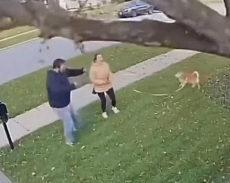 نجاة زوجين وكلبهما من الموت بعد سقوط شجرة ضخمة عليهما نجاة زوجين وكلبهما من الموت بعد سقوط شجرة ضخمة عليهما