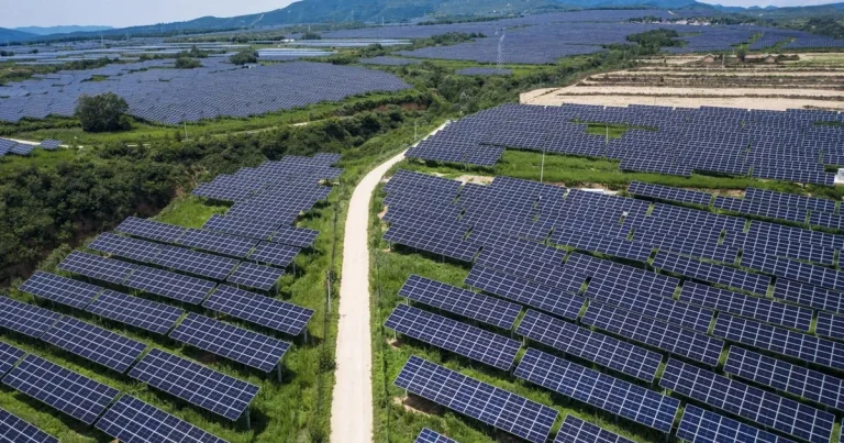 وكالة دولية تخفض توقعاتها لنمو الطاقة المتجددة حتى عام 2030