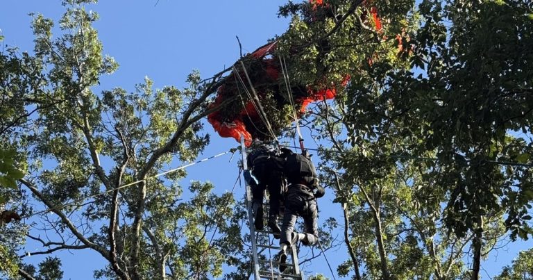 يموت المدرب في حادث ناشفيل القفز بالمظلات ؛ أنقذ القفز المظلات الثاني من الشجرة يموت المدرب في حادث ناشفيل القفز بالمظلات ؛ أنقذ القفز المظلات الثاني من الشجرة