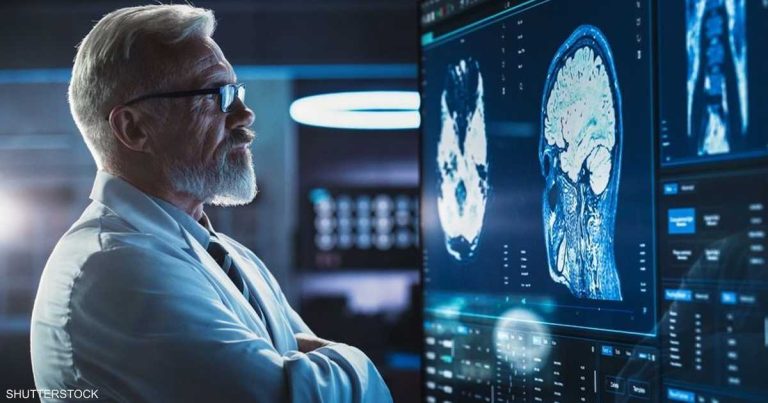 إنجاز علمي.. “كتاب خرائط” يكشف أسرار تطور الدماغ إنجاز علمي.. "كتاب خرائط" يكشف أسرار تطور الدماغ