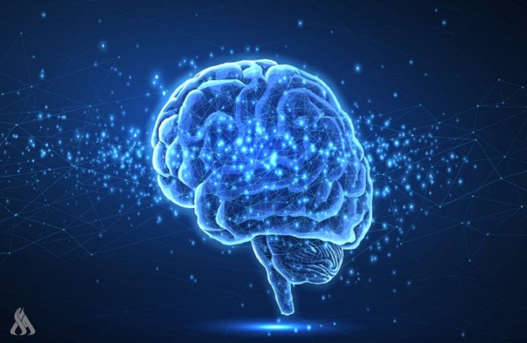 باحثون يحددون الأطعمة والمشروبات الأكثر ضرراً على الدماغ