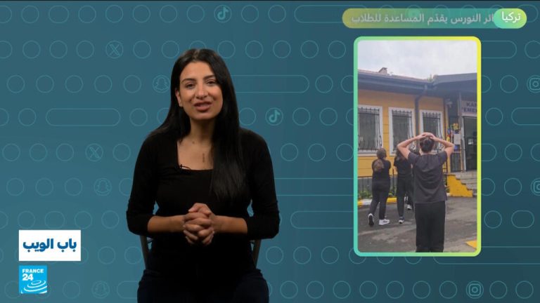 تركيا : طائر النورس يقدم المساعدة للطلاب تركيا : طائر النورس يقدم المساعدة للطلاب