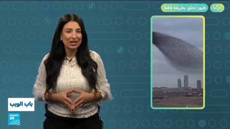 تركيا.. طيور تحلق بطريقة لافتة! تركيا.. طيور تحلق بطريقة لافتة!