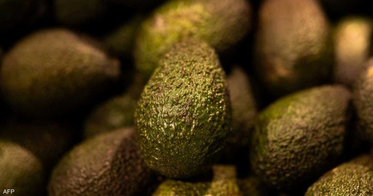 لا تتخلص من قشرة الأفوكادو… هذه فوائدها على الصحة لا تتخلص من قشرة الأفوكادو… هذه فوائدها على الصحة