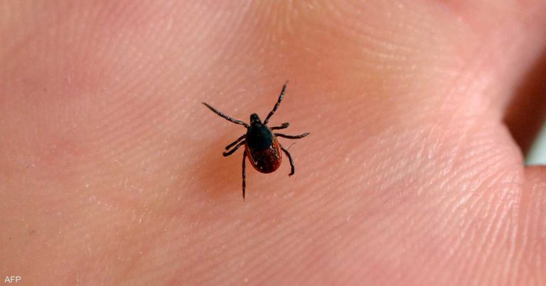 من لدغة إلى موت.. توثيق أول وفاة بسبب متلازمة “ألفا غال” من لدغة إلى موت.. توثيق أول وفاة بسبب متلازمة "ألفا غال"