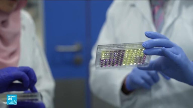 الأردن: فيروس الإيدز… من حكم بالموت إلى مرض مزمن يمكن التعايش معه الأردن: فيروس الإيدز... من حكم بالموت إلى مرض مزمن يمكن التعايش معه