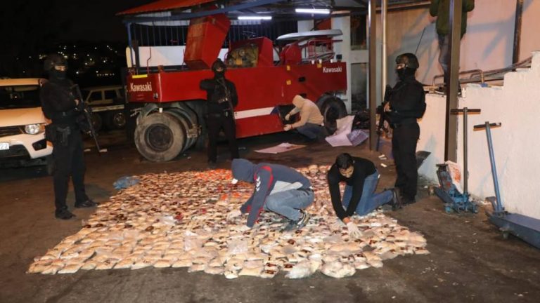 الأردن يحبط تهريب 1.2 مليون حبة مخدر الأردن يحبط تهريب 1.2 مليون حبة مخدر