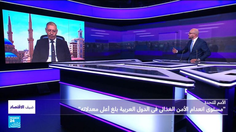 الأمم المتحدة : مستوى انعدام الأمن الغذائى فى الدول العربية بلغ أعلى معدلاته منذ أكثر من عقدين الأمم المتحدة : مستوى انعدام الأمن الغذائى فى الدول العربية بلغ أعلى معدلاته منذ أكثر من عقدين