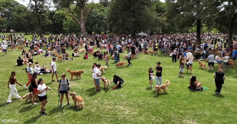 دراسة تكشف سرا مثيرا عن علاقة البشر بالكلاب: الميكروبيوم