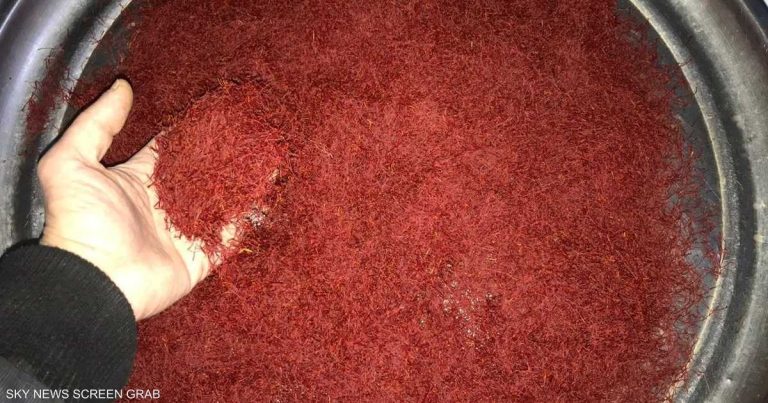 كيف يعزز الزعفران مزاجك ويحمي قلبك ويساعدك على خفض وزنك كيف يعزز الزعفران مزاجك ويحمي قلبك ويساعدك على خفض وزنك