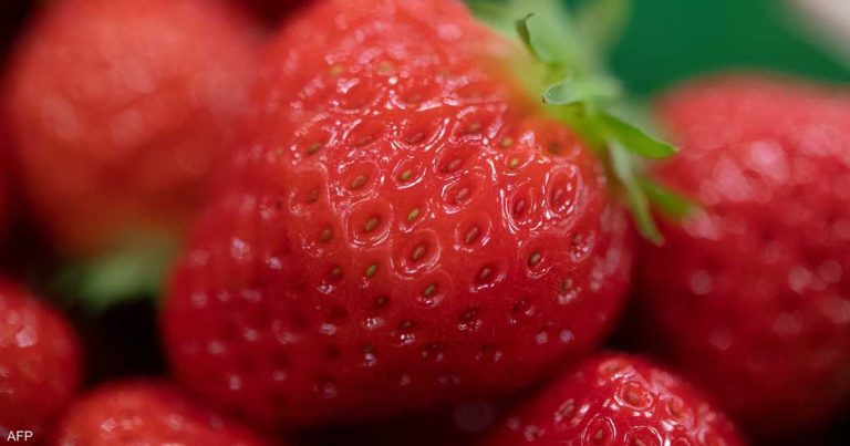 لتعزيز جهاز المناعة.. 7 فواكه غنية بفيتامين “سي” لتعزيز جهاز المناعة.. 7 فواكه غنية بفيتامين "سي"