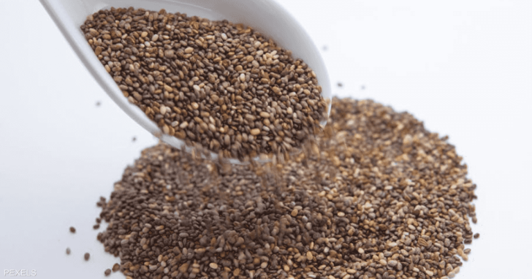 تقلّل الشهية.. دراسة تكشف "فوائد خفية" لبذور الشيا