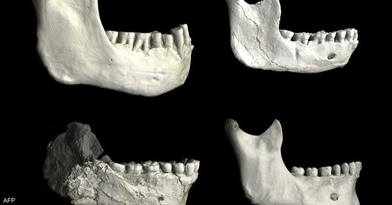 عمرها 773 ألف سنة.. اكتشاف أقدم أحافير بشرية في المغرب