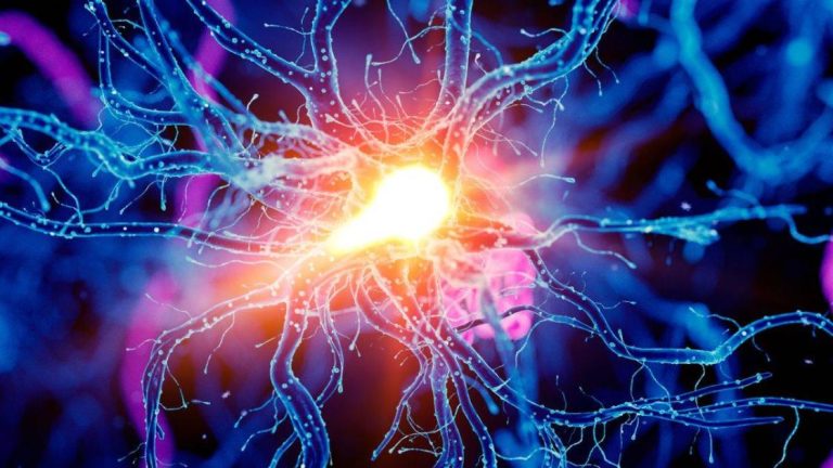 إشارات دماغية تزيد القدرة على التحمل أثناء التمارين إشارات دماغية تزيد القدرة على التحمل أثناء التمارين