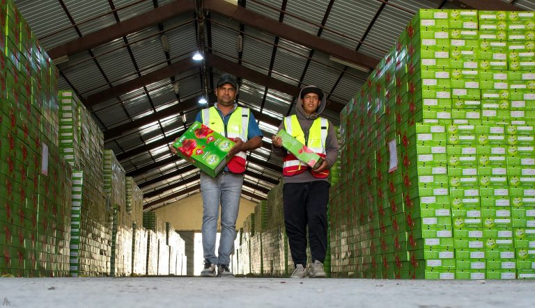 التجارة: التعرفة الجمركية تعزز الطلب على المنتج الوطني وتمنحه قدرة تنافسية أعلى