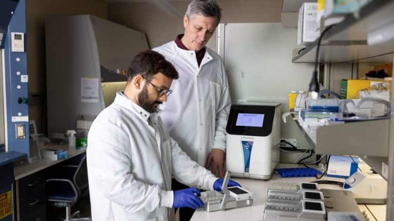 «الكبد على شريحة» ثورة في الاختبارات الطبية