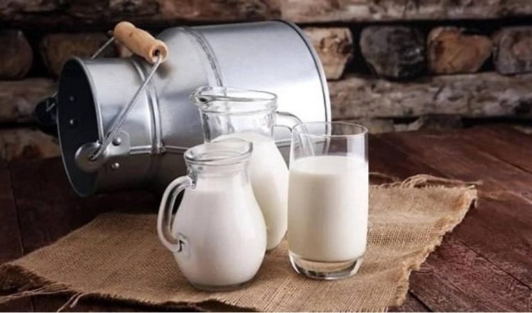 خبير تغذية: الأجبان كاملة الدسم تحمي من الخرف