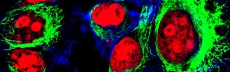 دواء تجريبي يُخفض وفيات سرطان المبيض