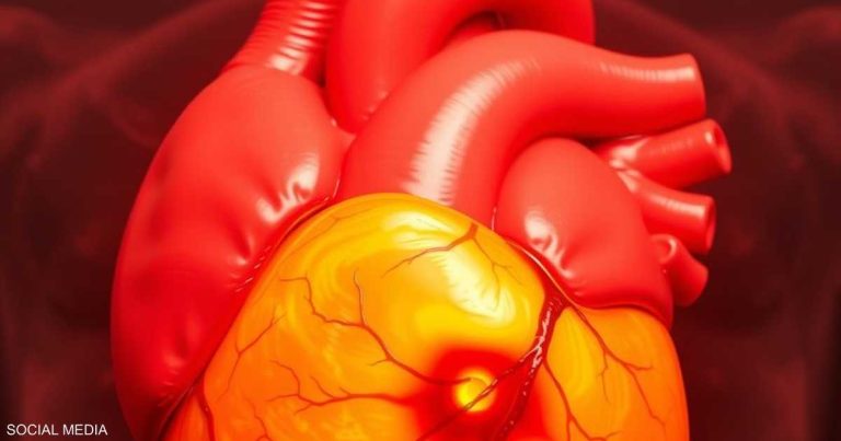 عادات يومية تدمر قلبك بصمت.. خبراء يطلقون التحذير