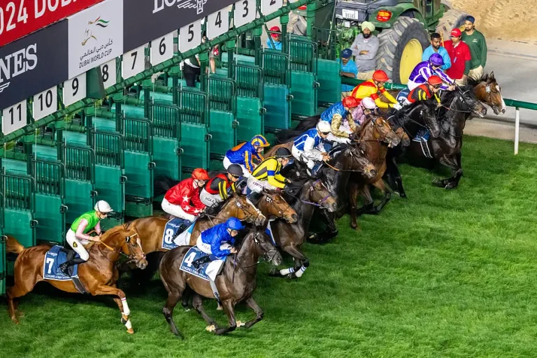 الطعام والأزياء وسباق الخيل: كيف أصبح كأس دبي العالمي أكبر حدث اجتماعي في المدينة الطعام والأزياء وسباق الخيل: كيف أصبح كأس دبي العالمي أكبر حدث اجتماعي في المدينة