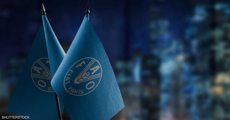 خبير بالفاو يحذّر من تداعيات خطيرة إذا طالت حرب إيران البورصات العالمية