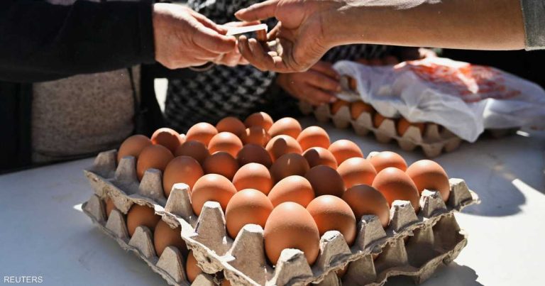 فيروس بيئي يهزم “السالمونيلا” ويعزز سلامة الغذاء فيروس بيئي يهزم "السالمونيلا" ويعزز سلامة الغذاء