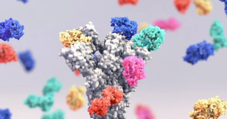 باحثون إعادة برمجة الجهاز المناعي أجسام مضادة شديدة الفاعلية