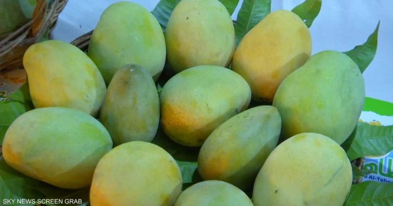 دراسة تكشف تأثيرا خفيا لتناول المانجو والأفوكادو معا