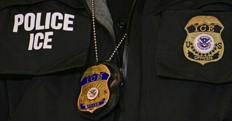 وزير الخارجية الفرنسي يقول إن الأرملة البالغة من العمر 85 عامًا التي احتجزتها إدارة الهجرة والجمارك عادت إلى وطنها