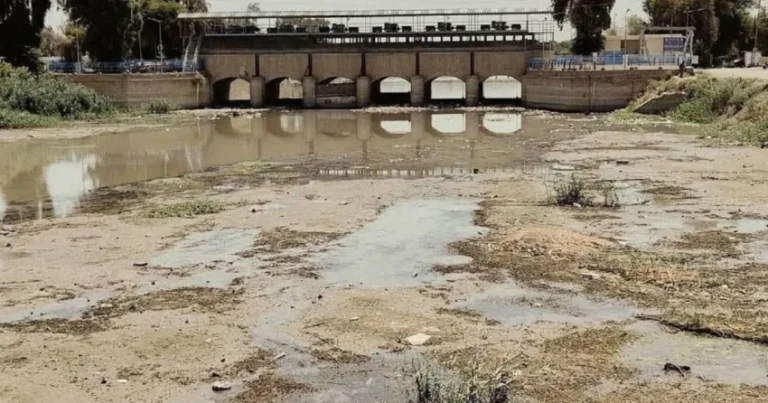 العراق على شرفة العطش.. الزراعة تنهار تحت وطأة الجفاف وسياسات المياه الإقليمية » وكالة بغداد اليوم الاخبارية