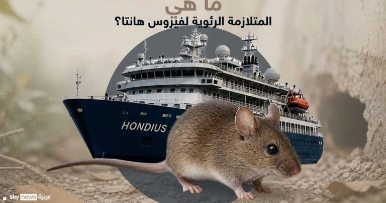 مركز: كل ركاب سفينة "هانتا" مخالطون معرضون لخطر كبير